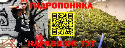 индика Лесосибирск