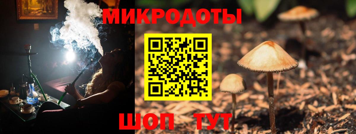 Галлюциногенные грибы Psilocybine cubensis Сухой Лог