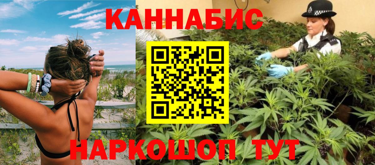 Бошки марихуана план  МАРИХУАНА SATIVA & INDICA  Каннабис OG Kush  Вход с VPN  Сухой Лог 